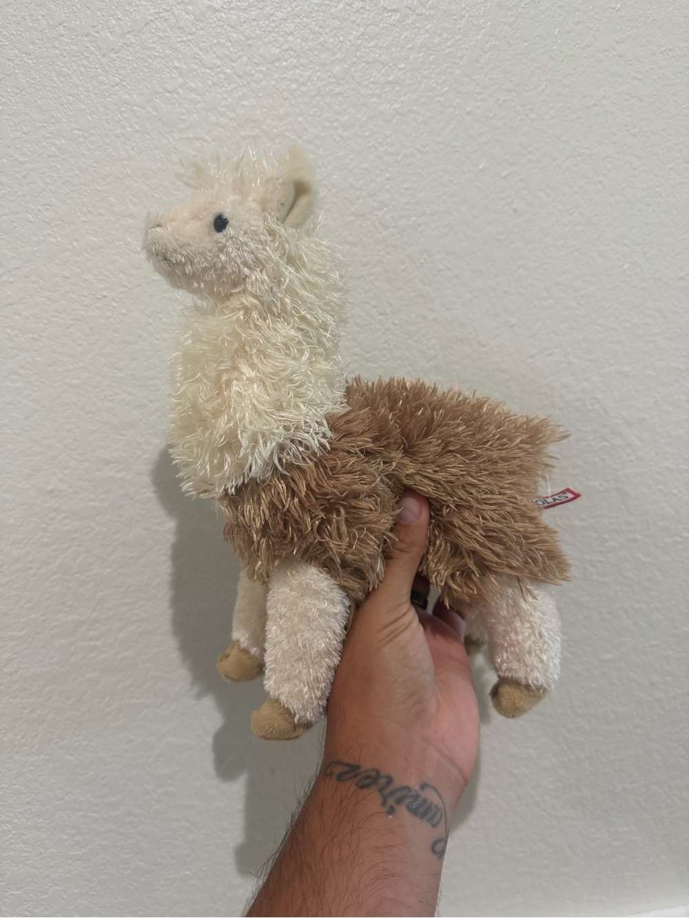 Douglas Llama 12”